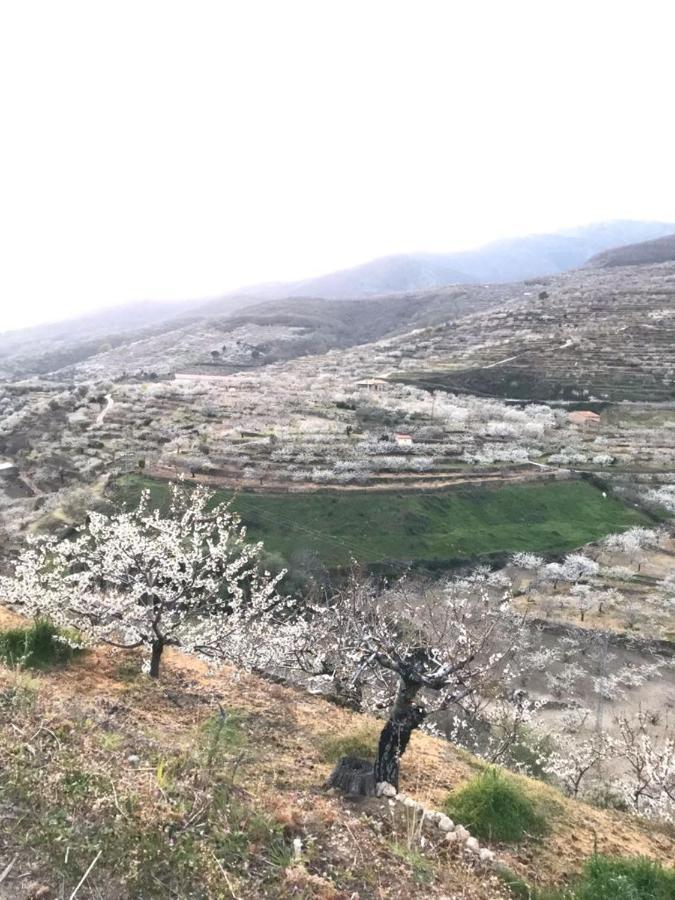 托尔纳瓦卡斯La Escondida别墅 外观 照片